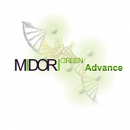 MIDORI Green Advance