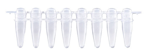 αPlastic PCR 8-well strip tube 0.2, Domed Caps | ELISABETH PHARMACON ...